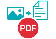 PDF icon